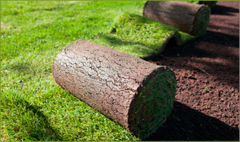 Kerper Gartengestaltung